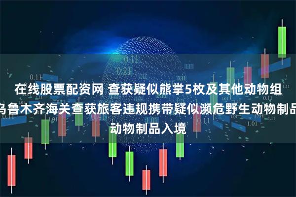 在线股票配资网 查获疑似熊掌5枚及其他动物组织！乌鲁木齐海关查获旅客违规携带疑似濒危野生动物制品入境
